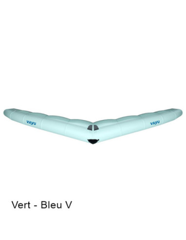 Aile Wing Vayu Aura 2022