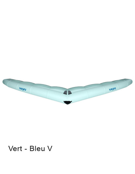 Aile Wing Vayu Aura 2022
