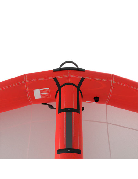 Aile Wing AFS D-Lite 2025