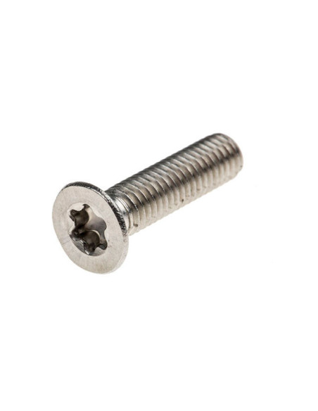 Vis Inox Surfpistols Torx