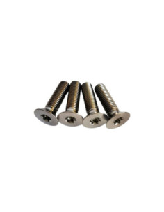 Vis Titanium Surfpistols Torx