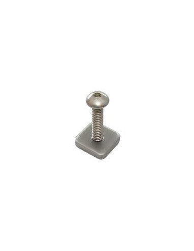 FCS Smart Screw and Plate