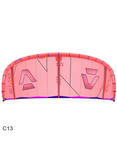 Aile Duotone Evo 2025