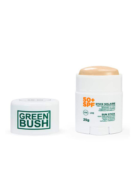 Sitck solaire Greenbush