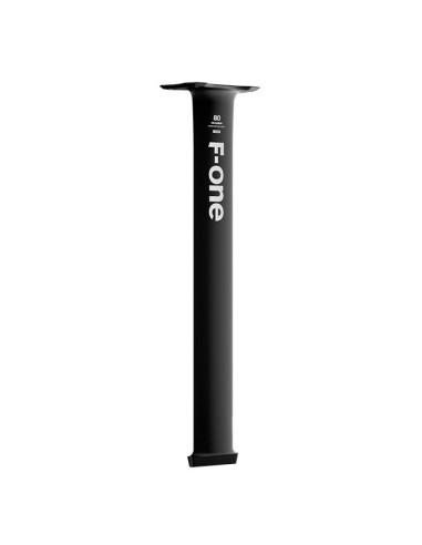 Mât F-One Carbone HM 14 T2