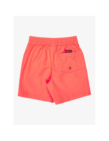 Short de bain Garçon 2-7 Quiksilver Everyday...