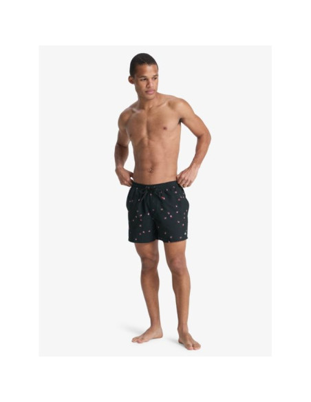 Short de bain Quiksilver Everyday Printed Volley 15" 2026