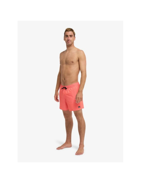 Short de bain Quiksilver Stretch Printed Volley 16" 2026