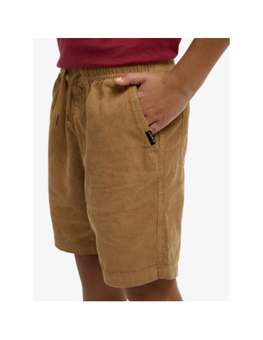 Short de marche Garçon 8-16 Quiksilver Taxer 2026