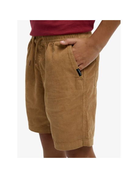 Short de marche Garçon 8-16 Quiksilver Taxer 2026