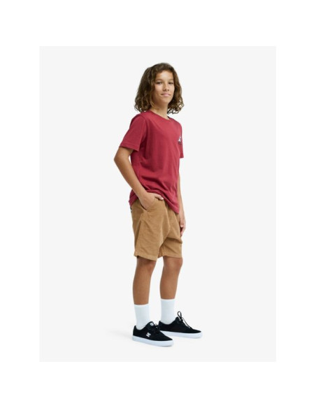 Short de marche Garçon 8-16 Quiksilver Taxer 2026