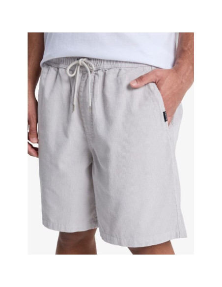 Walkshort Quiksilver Taxer 18" 2026