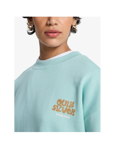 Sweat à col rond Quiksilver Standard 2026