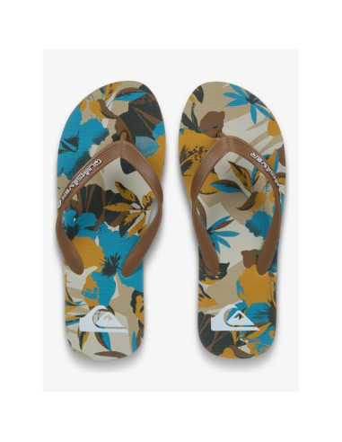 Tongs Quiksilver Molokai Art 2026