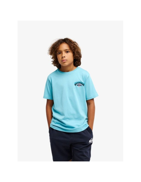 T-Shirt Garçon 8-16 ans Quiksilver Palm Horizon SS 2026