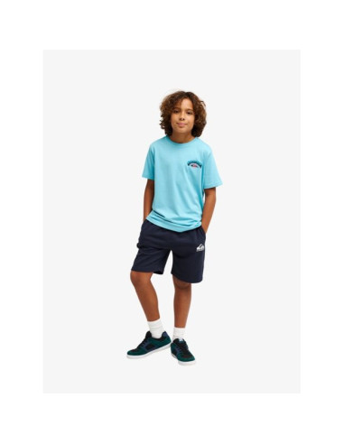 T-Shirt Garçon 8-16 ans Quiksilver Palm Horizon...