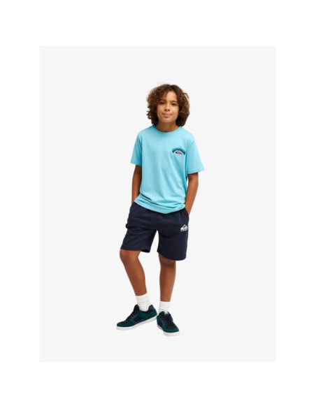 T-Shirt Garçon 8-16 ans Quiksilver Palm Horizon SS 2026