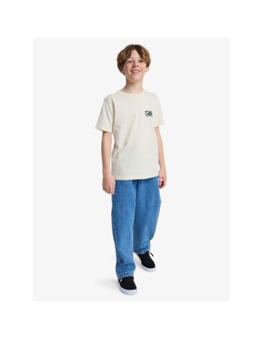 T-Shirt Garçon 8-16 ans Quiksilver Serenity...